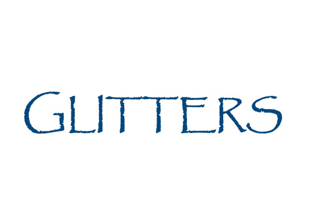 logo 20
